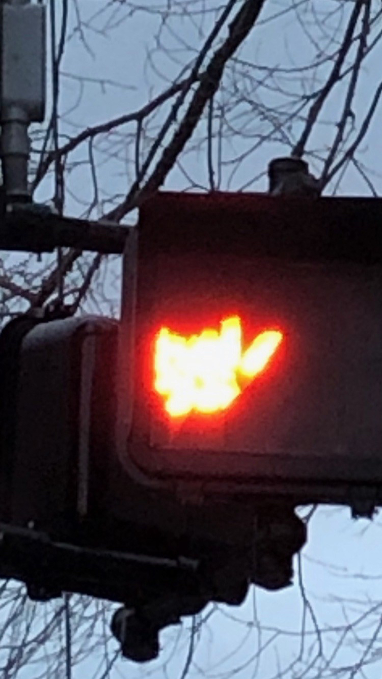 FB383C53-1ADF-4862-9793-4BA0F1293A14